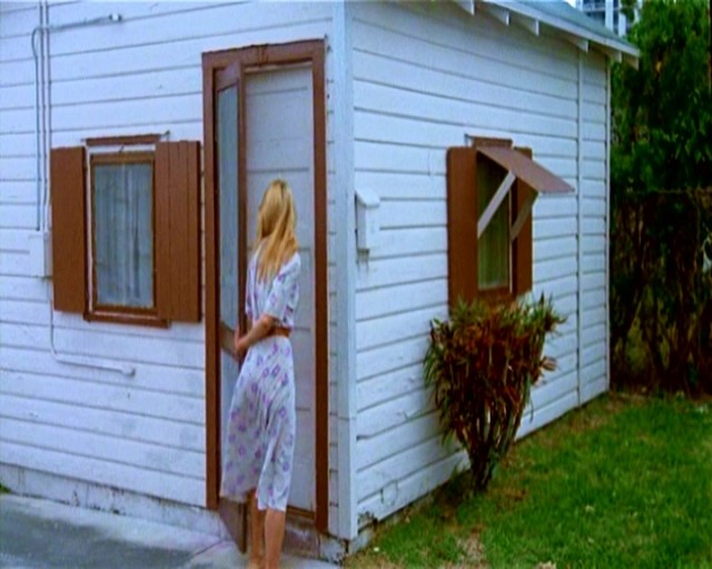 Kanlı Para (II) Fotoğrafı