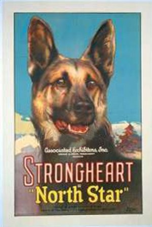 North Star (1925) afişi