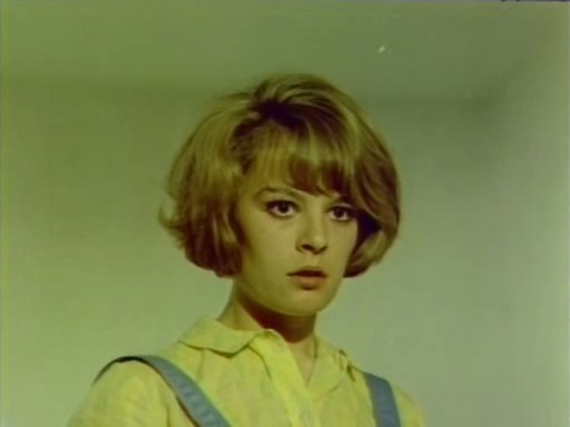 Sarmaşık Gülleri fotoğrafı