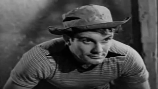 Fosforlu Cevriye Fotoğrafı