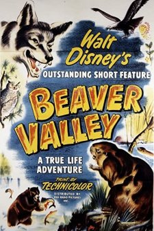 Beaver Valley (1950) afişi