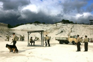 Özgürlüğün Rengi fotoğrafı