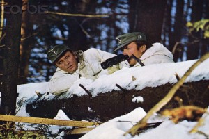 Kartal Yuvası Fotoğrafı