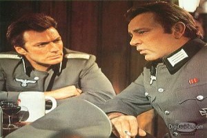 Kartal Yuvası Fotoğrafı