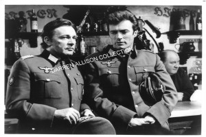 Kartal Yuvası Fotoğrafı