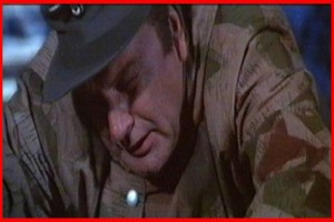 Kartal Yuvası Fotoğrafı