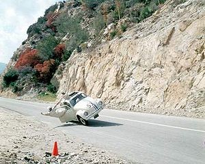 The Love Bug fotoğrafı