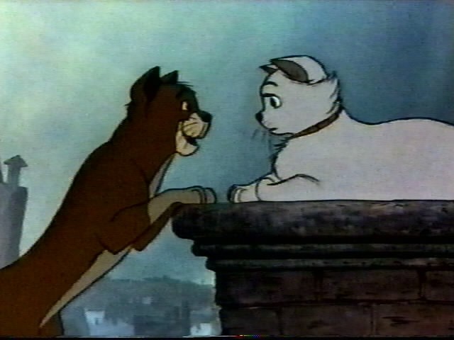 Aristokediler Fotoğrafı