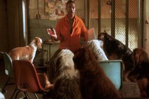 Dr. Dolittle 2 Fotoğrafı