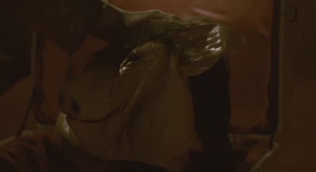 Testere 4 Fotoğrafı