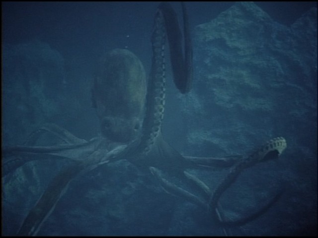 Pearl Of The South Pacific Fotoğrafı