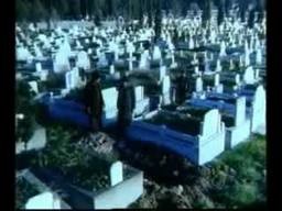 Garip Bir Kolleksiyoncu Fotoğrafı