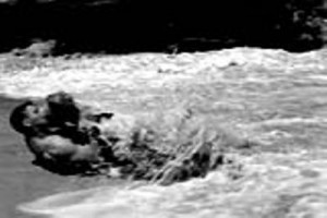 İnsanlar Yaşadıkça Fotoğrafı