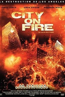 Heat Wave (2009) afişi