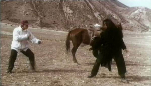 Millennium Dragon Fotoğrafı