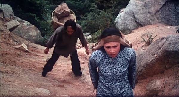 The Himalayan Fotoğrafı