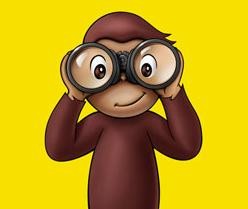 Meraklı Maymun Fotoğrafı