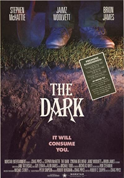 Karanlık (1993) afişi
