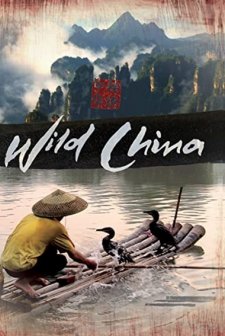 Wild China (2008) afişi