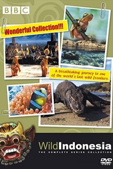 Wild ındonesia (1999) afişi