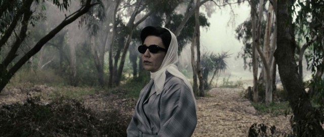 Erkeksiz Kadınlar fotoğrafı