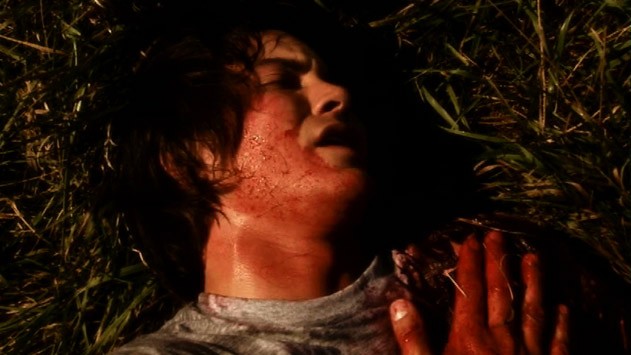 Into The Woods Fotoğrafı