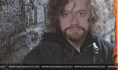 Harry Potter ve Ölüm Yadigarları: Bölüm 2 Fotoğrafı