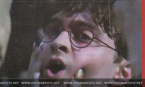 Harry Potter ve Ölüm Yadigarları: Bölüm 2 Fotoğrafı