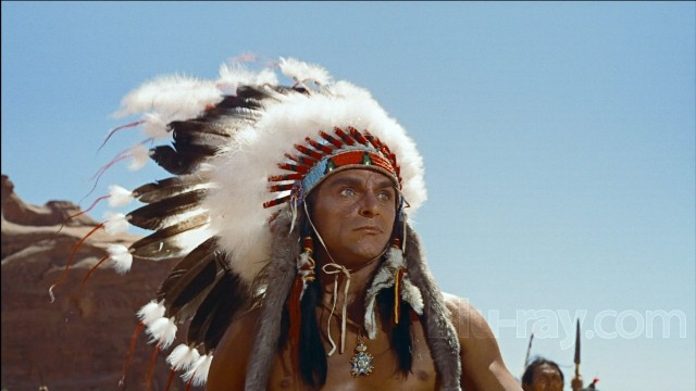 Çöl Aslanı fotoğrafı