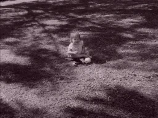 Yedinci Mühür Fotoğrafı