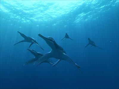 Sea Rex 3d: Journey To A Prehistoric World Fotoğrafı