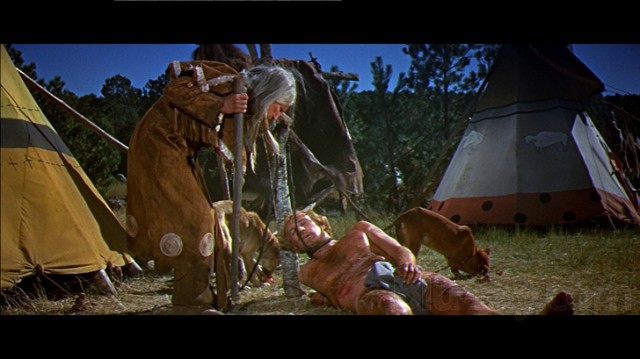 Vahşi Kahraman Fotoğrafı