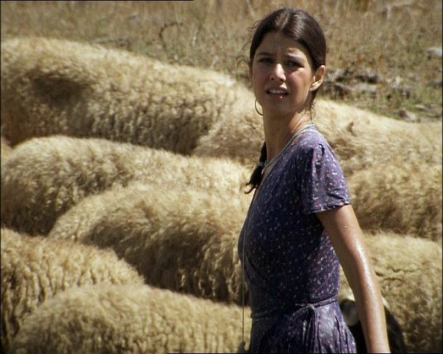 Fatmagül'ün Suçu Ne Fotoğrafı