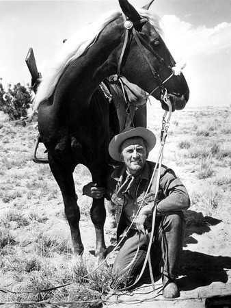 Yalnız Ve Cesur fotoğrafı