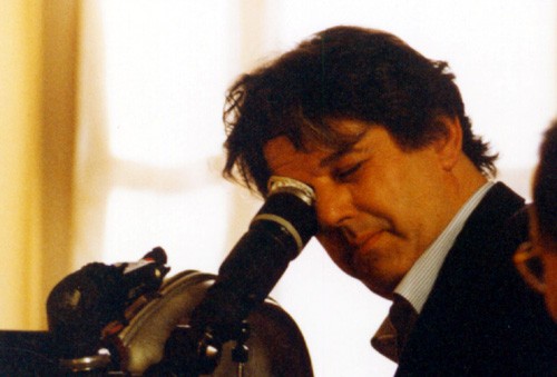 Viva La Scimmia Fotoğrafı