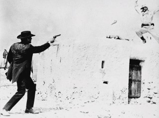 Arizona Colt fotoğrafı