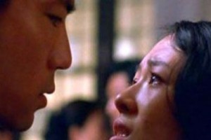 Mor Kelebek fotoğrafı