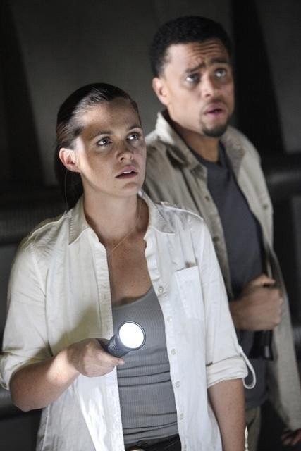 Flash Forward Fotoğrafı