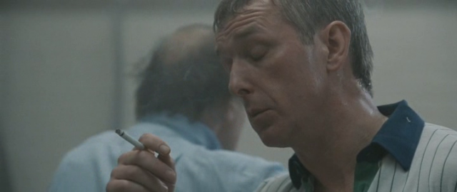 Köstebek Fotoğrafı