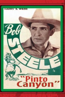 Pinto Canyon (1940) afişi