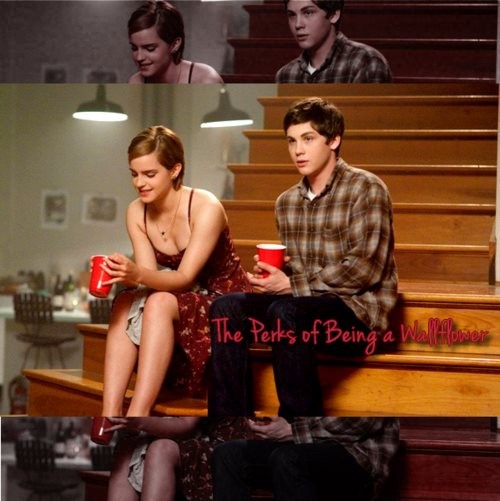 Saksı Olmanın Faydaları Fotoğrafı