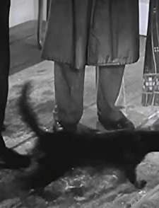 Lightning Strikes Twice (1934) afişi