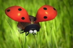 Minuscule fotoğrafı