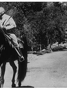 Le Président En Promenade (1896) afişi