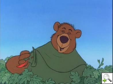 Robin Hood Fotoğrafı