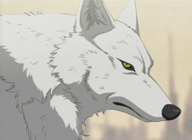 Wolf's Rain Fotoğrafı