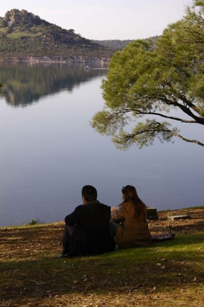 Yol Arkadaşım Fotoğrafı