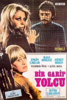 Bir Garip Yolcu (1972) afişi