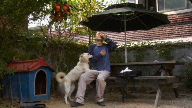 My Burning Heart Fotoğrafı