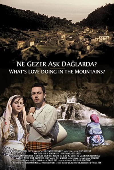 Ne Gezer Aşk Dağlarda? (2005) afişi